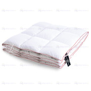 Одеяло Пуховое Desire теплое 140х205